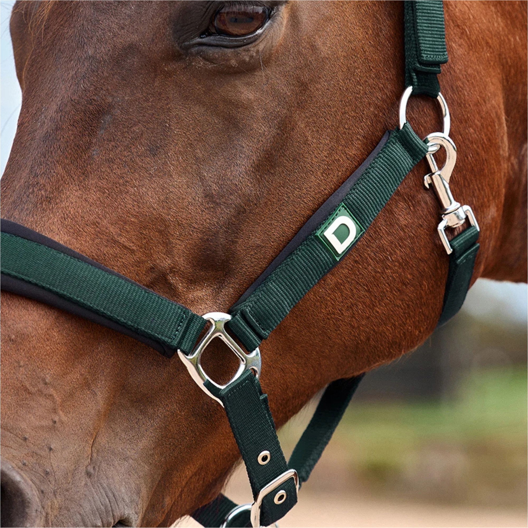 2026 Dublin Neo Comfort Halster 1031035 - Green / Black Wordt 
2026 Dublin Neo Comfort Halster 1031035 - Green / Black 

Is Translated To 
2026 Dublin Neo Comfort Halster 1031035 - Green / Black 

However, The Correct Translation Would Be More Like 
2026 